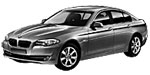 BMW F10 U1096 Fault Code